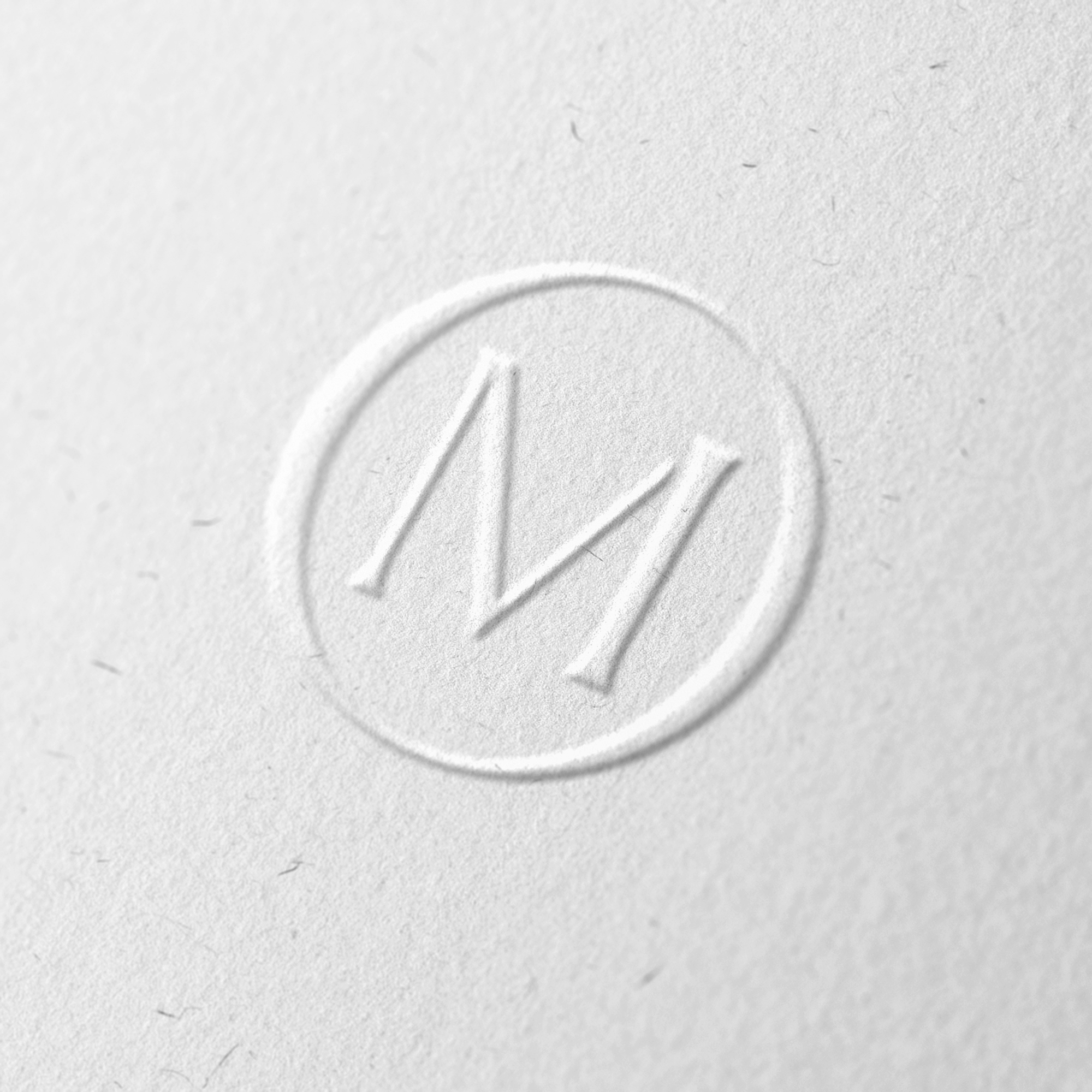 The Model Institute Corporate Design Logo – Anton Huber Design & Markenführung